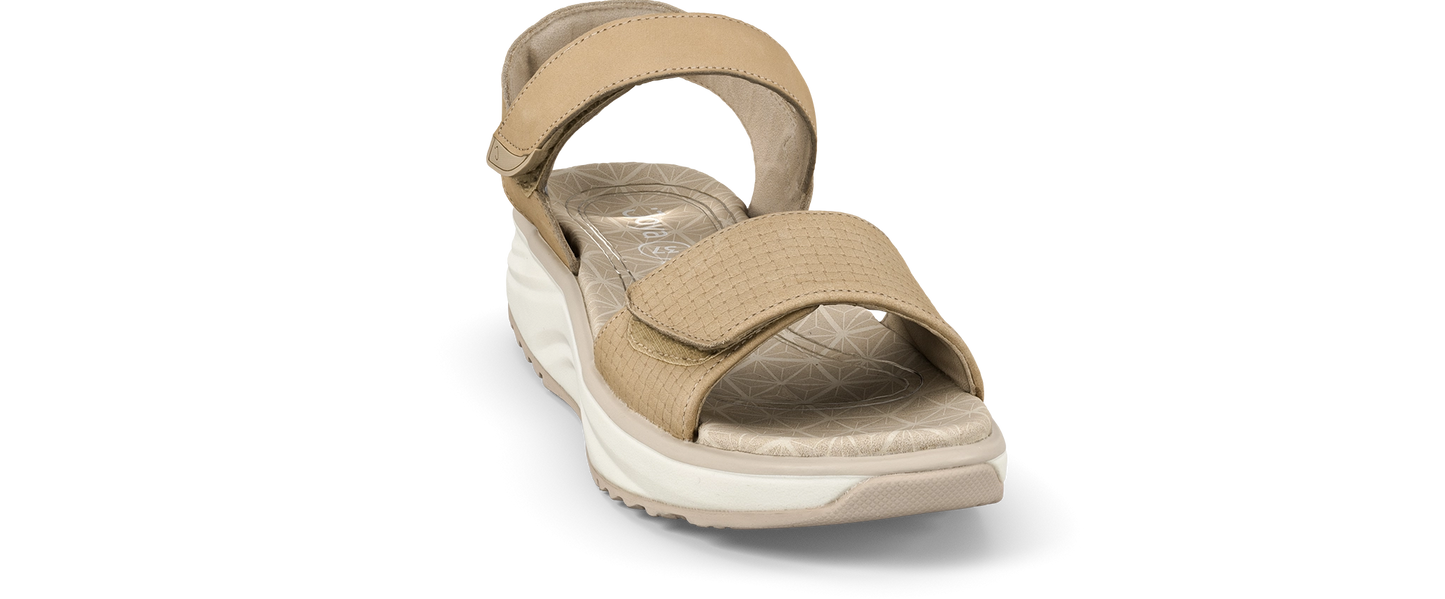 Flores beige